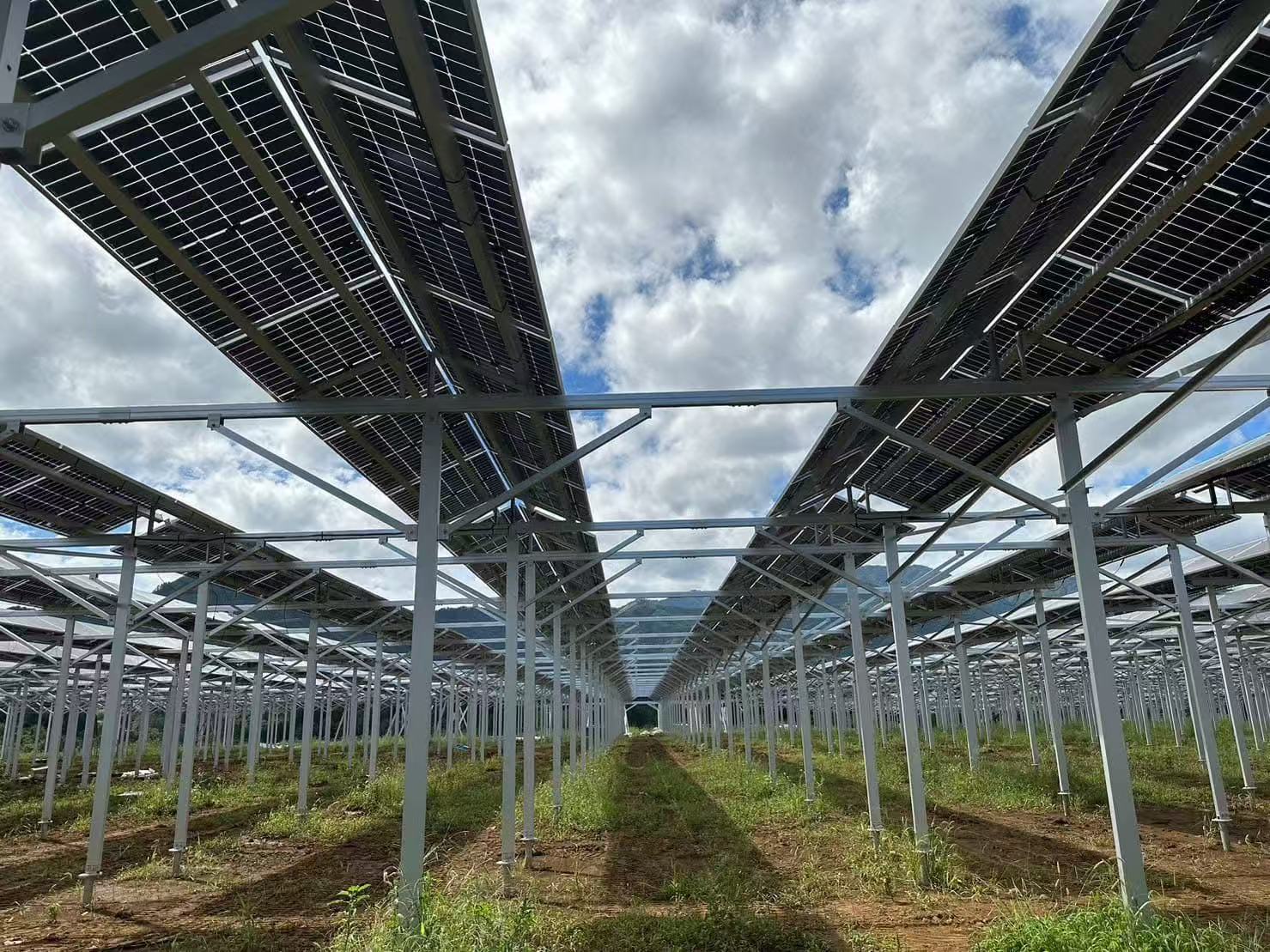 कृषि शेड समर्थन को लाभ